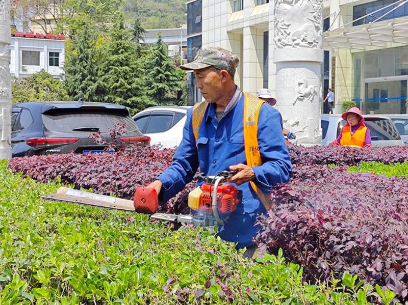 屋顶花园设计引领城市绿肺新风尚