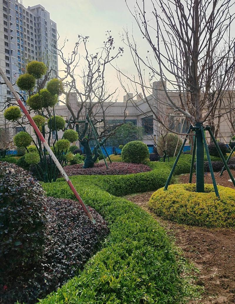 屋顶花园设计：城市绿化的新兴趋势